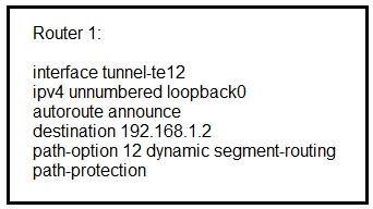 300-510 dumps exhibit