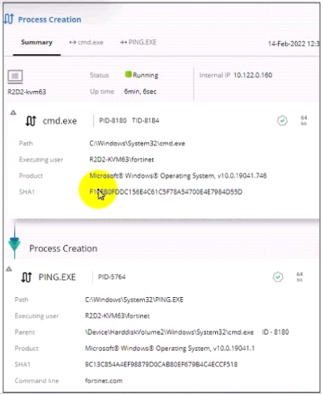 NSE5_EDR-5.0 dumps exhibit